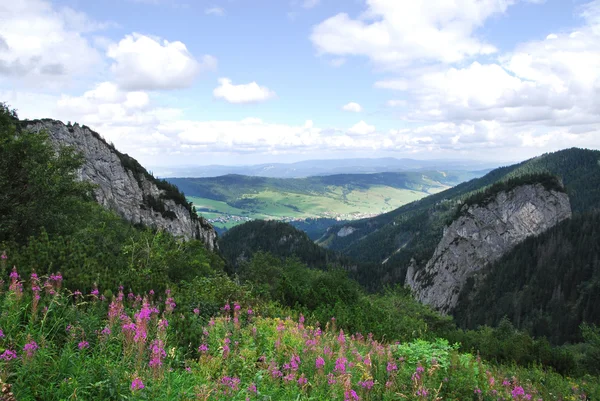 Mountains — Stock Photo, Image