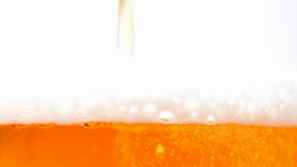 Bolle nel bicchiere di birra — Video Stock