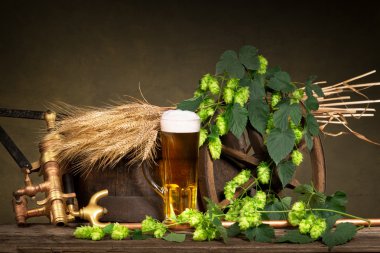 arpa ve hop koniler ile bira cam