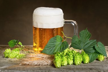 bira ve şerbetçiotu ile natürmort