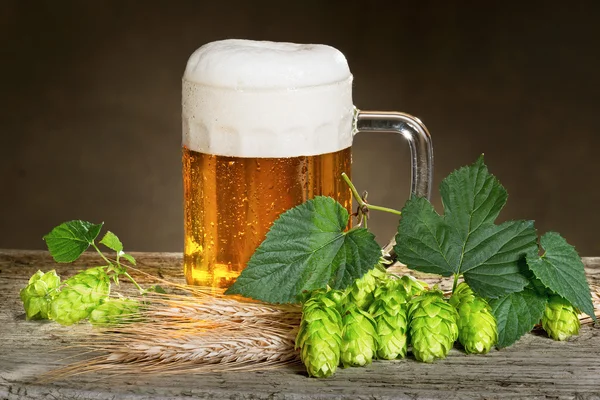 Bodegón con cerveza y lúpulo — Foto de Stock