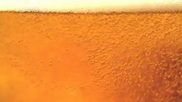 Наливание пива в стакан — стоковое видео