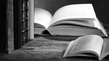 kitap detayı