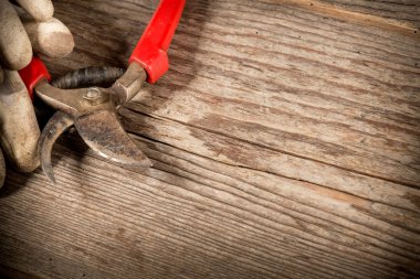 kullanılan budama makası