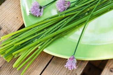chives on the plate clipart
