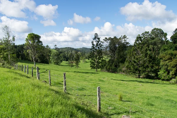 Avustralya hinterland