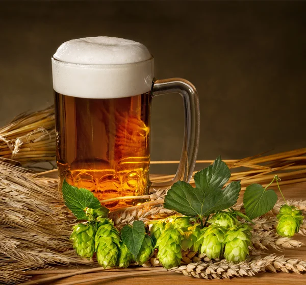 Pint bier met grondstof voor de bierproductie van — Stockfoto