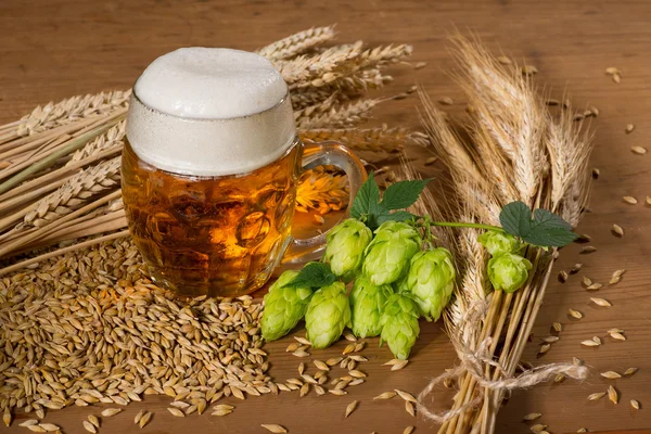 Bierglas und Hopfen — Stockfoto