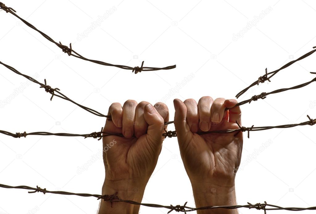 two hands hanging on the barbed wire