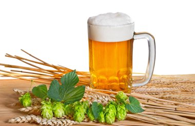 bira ve bira üretimi için ham maddeler