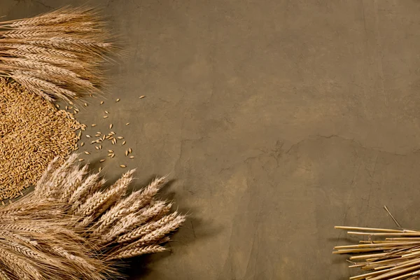 Wheat and barley — Stock Photo, Image