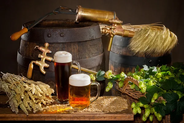 Beer with raw material for beer production — Stock Photo, Image