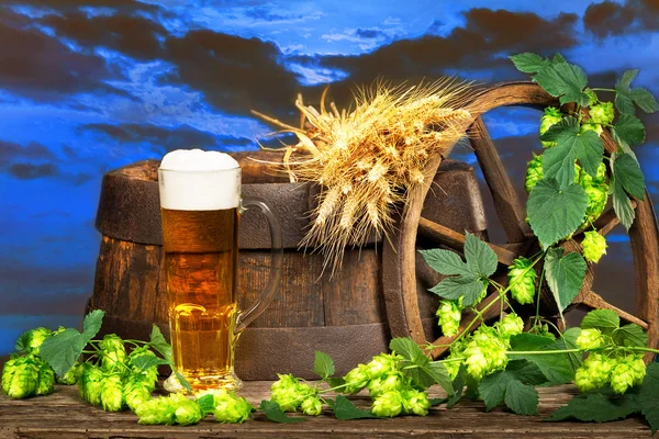 Copo de cerveja com cevada e Hop Cones — Fotografia de Stock