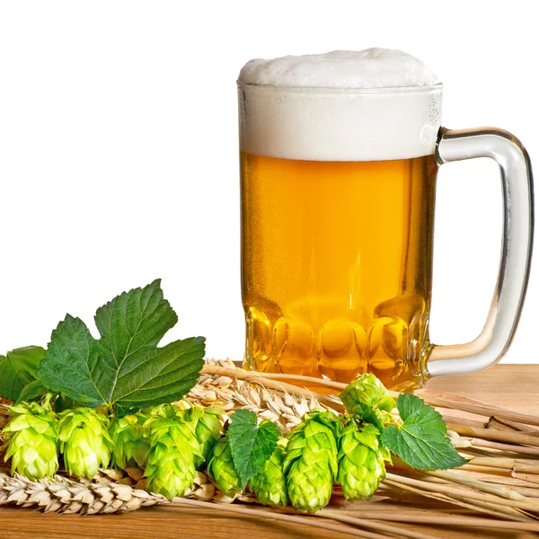 Ungefiltertes Bier mit Hopfen — Stockfoto