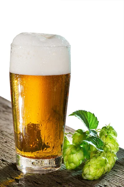 啤酒和啤酒花 — 图库照片