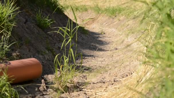 Uitgedroogd drainage kanaal met afvoer pijp — Stockvideo