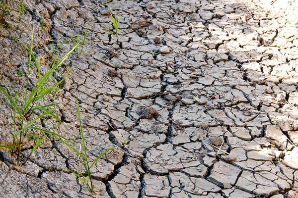 Dry river bed — Stock Photo, Image