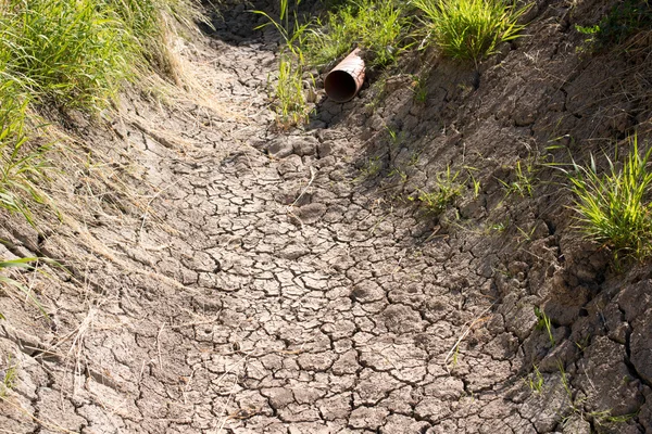 Dry creek bed — Stock Photo, Image