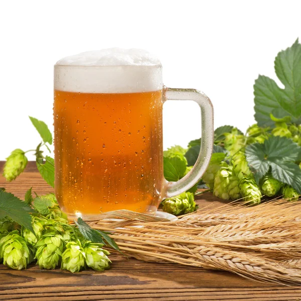 Glass of unfiltered beer with hops and barley — Stock Photo, Image