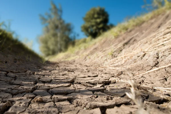 Dry creek bed — Stock Photo, Image