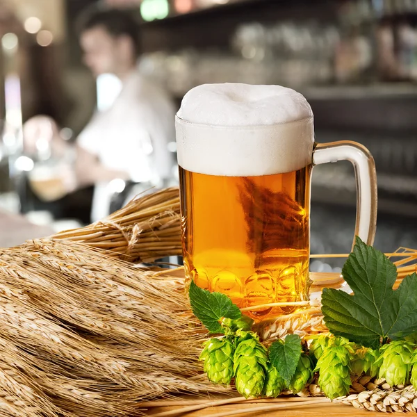 Beer and hops and barley — Stock Photo, Image