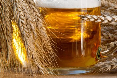 bira cam ve bira üretimi için ham maddeler