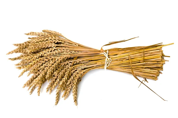 Wheat on the white — Stock Photo, Image