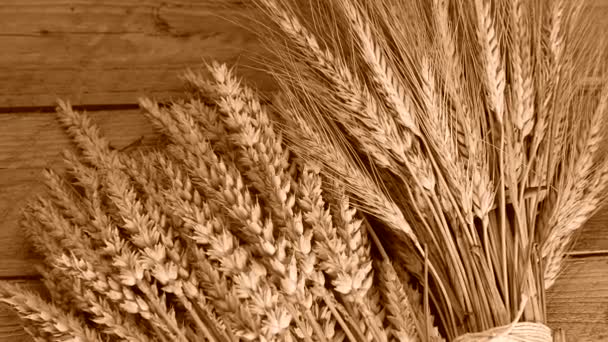 小麦与大麦的静物 — 图库视频影像