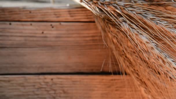 Νεκρή φύση με σιτάρι και barleyon τα ξύλινα κιβώτιο — Αρχείο Βίντεο