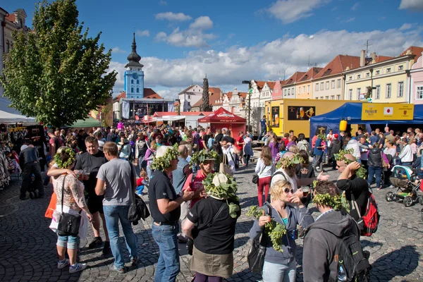 Ciudad de Zatec, República Checa - 5 de septiembre de 2015: Festival Zatec Hops a Beer — Foto de Stock