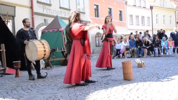 Zatec Hops and Beer Festival — Stok video