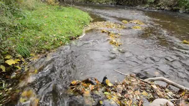 Arroyo con agua de escurrimiento en otoño — Vídeos de Stock