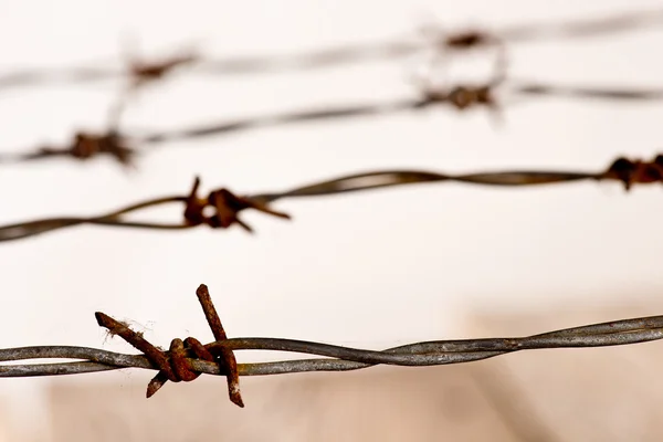 Detalle de alambre de púas oxidado — Foto de Stock