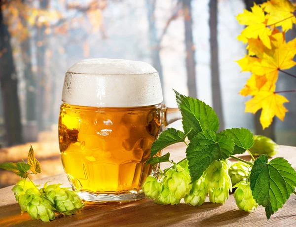 Glass of beer with hops — Stock Photo, Image