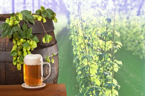 Glass of beer with hops — Stock Photo, Image