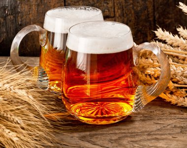 iki bira bardağı buğday ve arpa ile