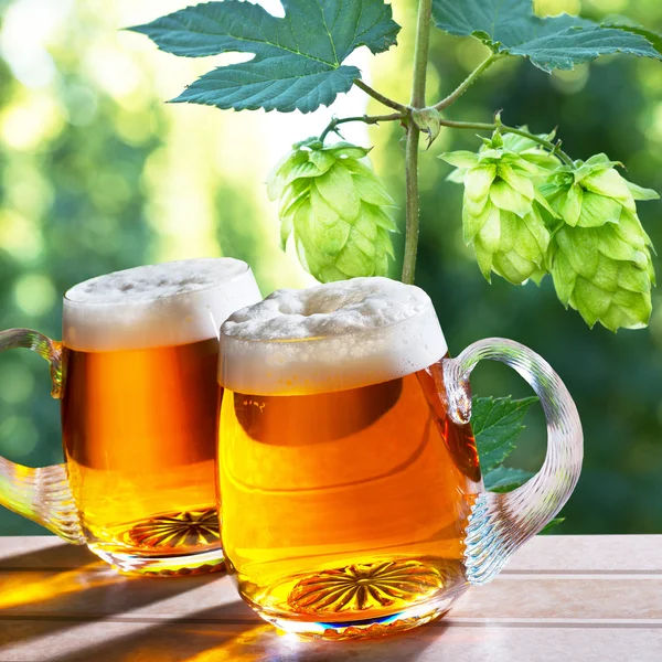 Glasses of beer with  hops — Stock Photo, Image