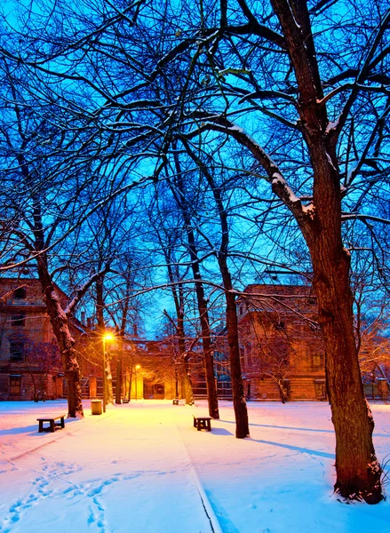 Park in the winter by night — Stock Photo, Image
