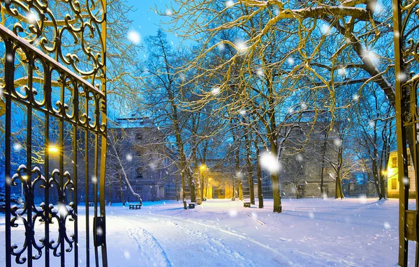 Parque de inverno com porta de entrada na queda de neve à noite — Fotografia de Stock