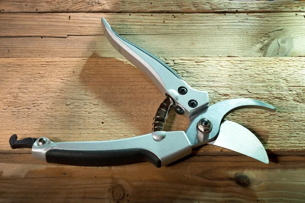 New pruning shears — Stock Photo, Image