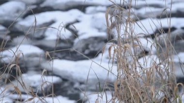 Weir üzerinde kışın donmuş