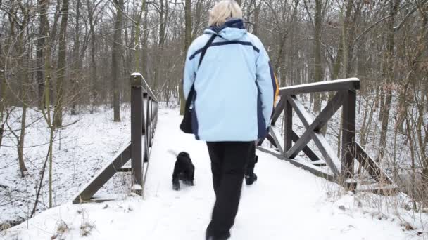 Tre turister med hunden vandrar på gångbron på vintern — Stockvideo