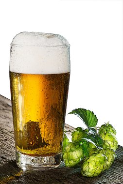 bira ve atlama çizimi