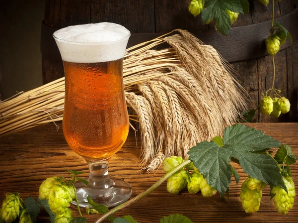 Natura morta con birra — Foto Stock