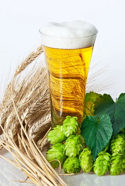 Vaso de cerveza y lúpulo Fotos de stock libres de derechos