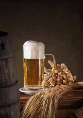bardak bira arpa ve buğday ile