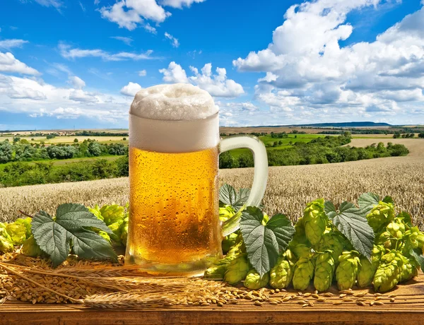 Vida tranquila com copo de cerveja e lúpulo — Fotografia de Stock