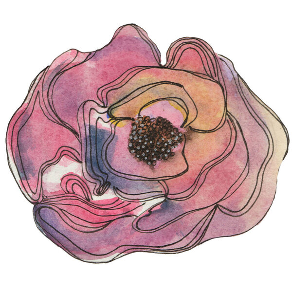 watercolor single rose of pastel color without a leaf