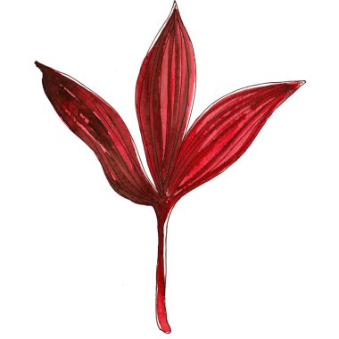 Sevimli tek el yapımı suluboya kırmızı ağaç yaprağı.