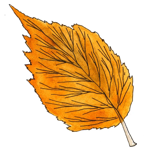 Cute single hand-drawn watercolor red tree leaf — Stock Photo, Image